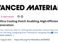港城大/理大《Advanced Materials》:超冷贴片实现光伏高效降温增产