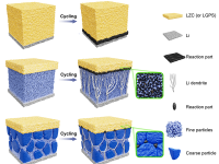 北京大学&南科大&屹艮科技Science 子刊:锂枝晶动态调控策略,助力全固态电池发展