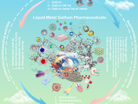 贵州大学药学院 汪达伟团队 Theranostics:描述镓基药物的制剂配方及药理活性,揭示了镓基液态金属的制药潜力