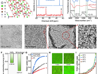 NUS陈瑞深/UIUC余存江/香港城市大学Sai Kishore Ravi Science Advances: 捕湿发电!一种新型自供能感应平台