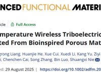 【Adv. Funct. Mater.】仿生超疏水纤维素摩擦电材料用于高温传感
