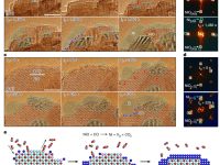 华人学者周光文最新Nature:氧化物还原机制新解