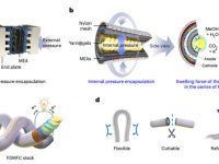 严锋教授/朱美芳院士Nature Materials.:用凝胶介导内压力封装的柔性纤维状燃料电池