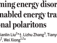 Science:克服能量无序以实现振动极化激元中的腔增强能量转移
