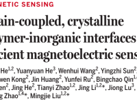 北航Science:应变耦合的晶体聚合物-无机界面用于高效的磁电传感