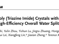 福建农林大学袁占辉教授团队Advanced Science