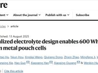 天津大学最新Nature!!!