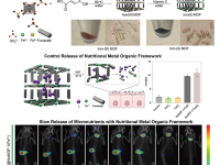 从实验室到餐桌：Robert Langer 团队杨昕博士用新材料破解全球“隐性饥饿”