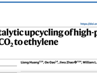 唯一通讯!卢旭,Nature Catalysis