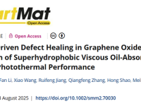 中国工程物理研究院成科中心唐昶宇研究员、西南交通大学范美坤教授SmartMat:等离激元共振驱动氧化石墨烯缺陷修复用于绿色制造具有优异光热性能的超疏水粘性吸油剂