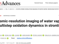 华东师大杨振中团队Science Advances:原位水蒸气氧化动力学