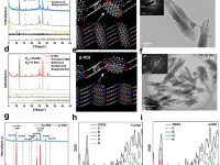 刘迪/朱永法Cell Reports Physical Science: 跨越多个时间尺度揭示PDI基线型聚合物中由桥联单元调控的载流子动力学