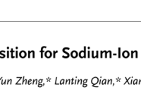 福州大学郑云教授/张久俊院士AEM新作:钠离子电池中的原子层沉积技术