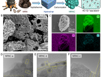 上海交通大学梁正Nano Letters:中药渣变身高性能快充锂电池负极材料