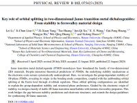 PRB|湖南大学黄维清团队:二维Janus TMDs材料稳定性的电子机理