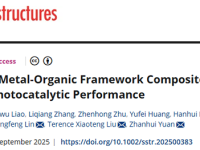 福建农林大学袁占辉团队《Small Structures》:金属有机框架复合材料对提高光催化性能的影响
