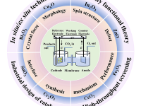 电催化CO2学者必看!IF 40长篇综述 《progress in materials science》