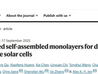 港城大/深圳先进院/吉林大学/岭南大学!四单位联合,重磅Nature!