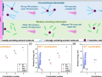 ACS Energy Letters: 弱溶剂化电解液助力高能量锂锰富集正极电池