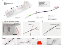 鲍哲南教授最新Nature:高密度柔性生物电子纤维