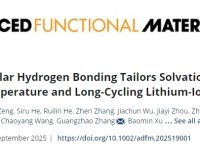 分子间氢键调控溶剂结构:为低温、长寿命锂电打开新局面