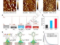 复旦大学&上海交大&南理工最新Nature：高性能锡基钙钛矿！