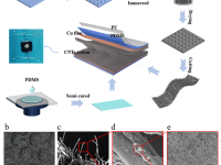 浙师大CEJ:一张棉柔巾解决柔性传感器一个大难题