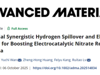 清华大学吕瑞涛教授、福州大学万宇驰副教授Adv. Mater.：界面氢溢流协同电子转移促进硝酸根还原产氨