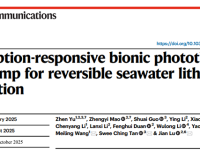 太原理工/香港城大/新加坡国立水凝胶光热海水提锂：“越吸附，越溶胀；越溶胀，越吸附”