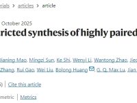 内蒙古大学Nature Materials:高配对率双原子催化剂精准合成