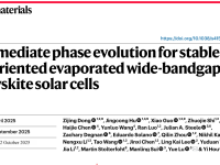 Nature Materials:中间相演变策略实现钙钛矿太阳能电池稳定且取向明确的蒸发宽带隙