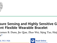 ACS Sensors:超高压力敏感的梯度离子凝胶水下监测手环