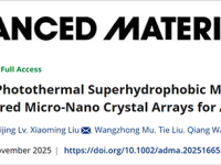 Advanced Materials:东北大学王强、刘晓明团队在光热超疏水领域发表重要成果