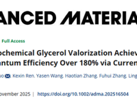 超越光电流极限!北京大学Adv. Mater.:基于光电流倍增机理的高效光电催化甘油氧化