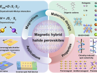 磁性有机-无机杂化卤化物钙钛矿：基础物理、性质和应用