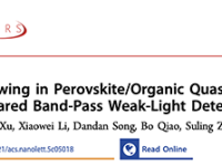 北京交通大学团队Nano Letters:钙钛矿/有机准同质结的协同窄化效应实现近红外带通弱光探测标题