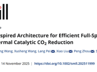 杭州电子科技大学 裴浪 Small：图灵式拓扑催化剂实现全光谱 CO2 光热还原