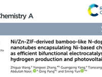 协同增效！双活性位点新型双功能电催化剂推动清洁能源高效转化