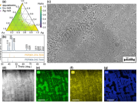 中南大学刘文胜团队Nat. Commun.:构筑大马士革式分级微结构实现高强塑性中熵合金
