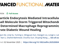 济南大学张丛丛/刘宏教授医工交叉团队:纳米颗粒内吞介导的细胞内离子/小分子风暴触发线粒体修复决定巨噬细胞重编程加速糖尿病伤口愈合