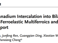 华中科技大学/伍伦贡大学/佛罗里达州立大学Adv. Sci.: 插层V2Se2O双层实现亚铁磁-铁弹多铁性与反常和自旋输运特性