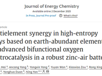 JEC: 非稀贵元素高熵合金多元素协同,实现稳定锌空气电池中的优异双功能氧电催化
