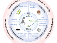 中南大学刘恢/沈锋华/邬俊 Materials Today：工业烟气汞脱除高效吸附材料研究进展