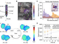 Science!大科学装置助力关键突破:同步辐射原位技术揭示电极变形微观源头