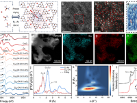 大化所章福祥&祁琨&大连海事周锋&詹溯：高负载、强协同的动态偕原子催化剂的关键突破