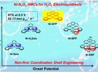 深圳大学张雷教授课题组最新Advanced Functional Materials赏析:揭示Ni-N2O2异相分子催化剂在H2O2电合成的高壳层配位规律