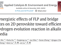 武汉纺织大学刘磊教授团队《Applied Catalysis B: Environmental》文章：二维钙钛矿受阻路易斯对与桥联位点的协同作用及其高效碱性析氢