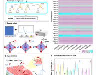 广州大学eScience:AI指导固体氧化物空气极设计最新成果