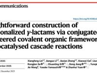 Nature Communications | 福建农林大学袁占辉教授团队在光催化生物质转化方面取得进展:共轭有机框架光催化串联反应构建官能化γ-内酰胺