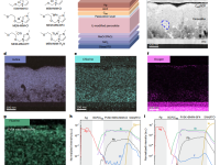 普渡大学窦乐添团队Nat. Energy:离子液体改善钙钛矿太阳电池的长期稳定性